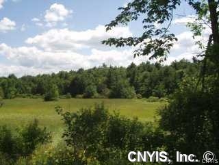 Tierney Road Hammond, NY 13646 - Photo 1 of 1 Land