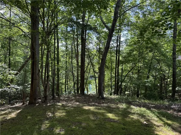 $545,000 | 601 Wind Flower Drive, Sunset, SC 29685