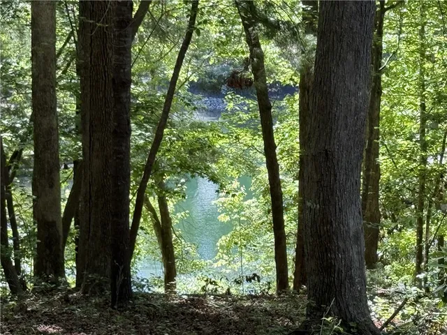 $595,000 | 601 Wind Flower Drive, Sunset, SC 29685