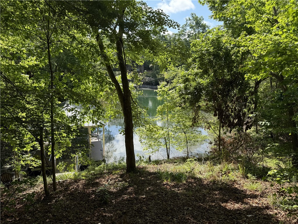 601 Wind Flower Drive Sunset, SC 29685 - Photo 7 of 11