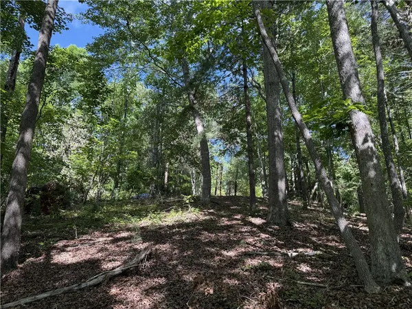 $545,000 | 601 Wind Flower Drive, Sunset, SC 29685