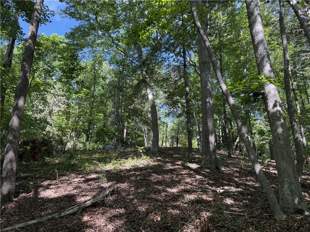 601 Wind Flower Drive Sunset, SC 29685 - Photo 8 of 11