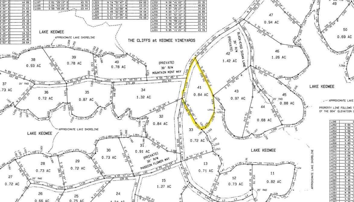 601 Wind Flower Drive Sunset, SC 29685 - Photo 10 of 11