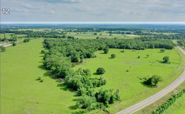 a view of a garden with an ocean