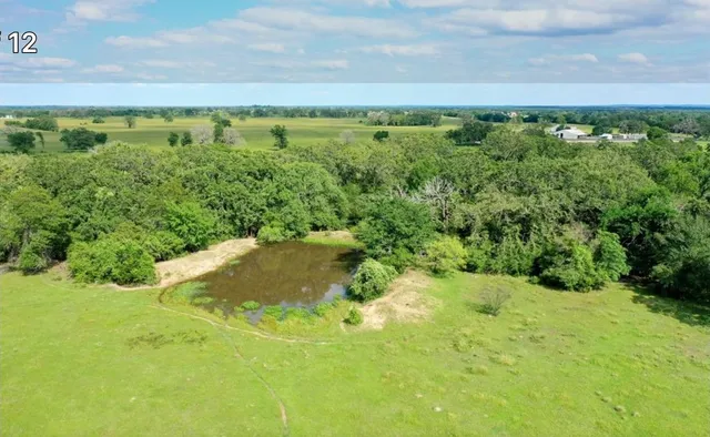 a view of a big yard with large trees