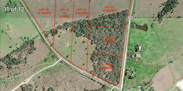 a picture of flowers