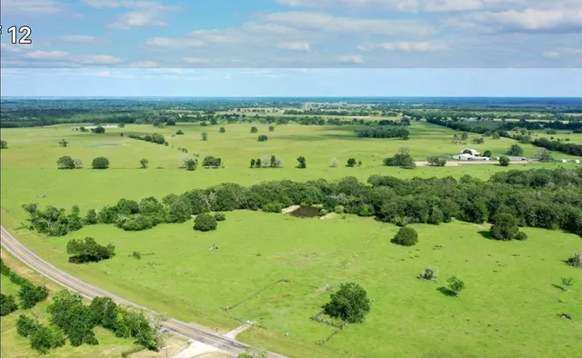 a view of a garden with an outdoor space
