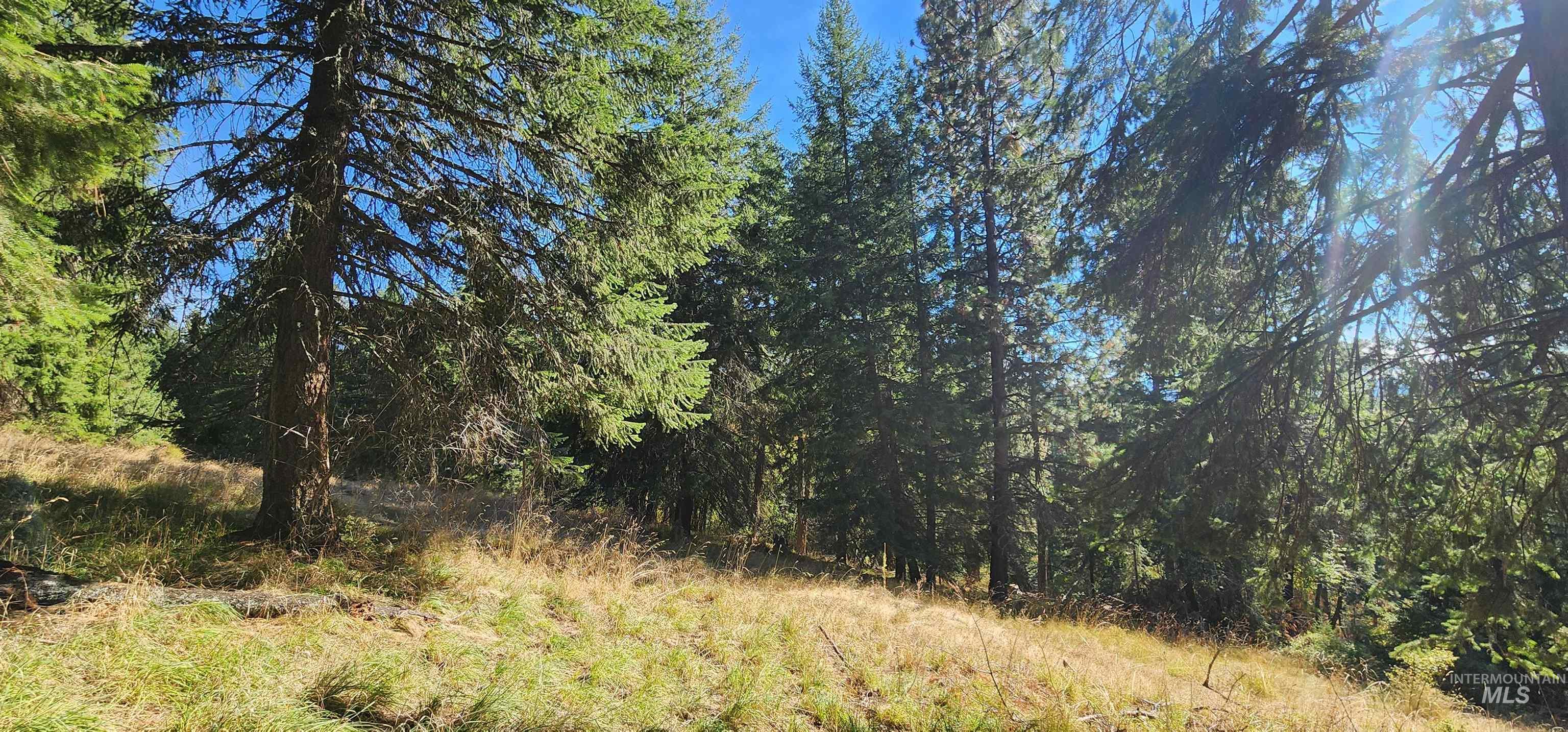 Tbd Red Fir Road Kooskia, ID 83539 - Photo 17 of 34
