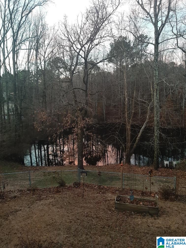 116 Twin Lakes Road Trussville, AL 35173 - Photo 45 of 47