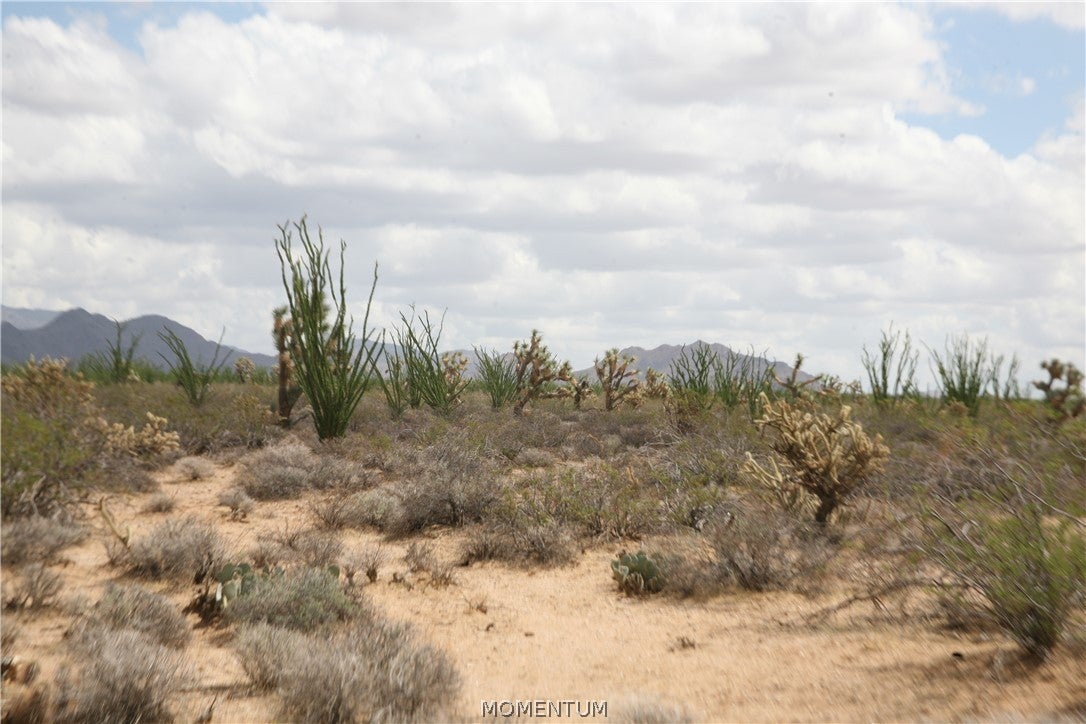 016 South Gene Autry Road Yucca, AZ 86438 - Photo 7 of 38 Gallery Image 7