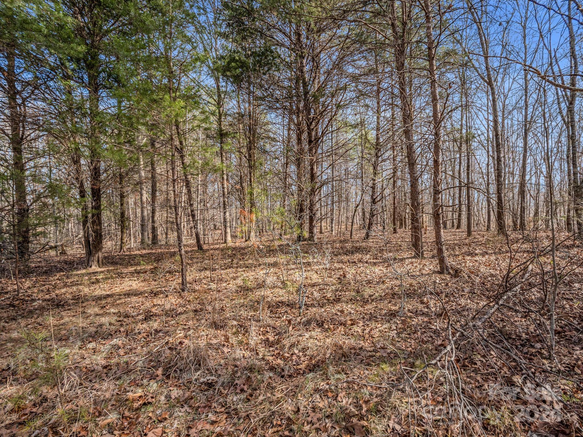 0 Jack McKinney Road Rutherfordton, NC 28139 - Photo 17 of 45 Gallery Image 17