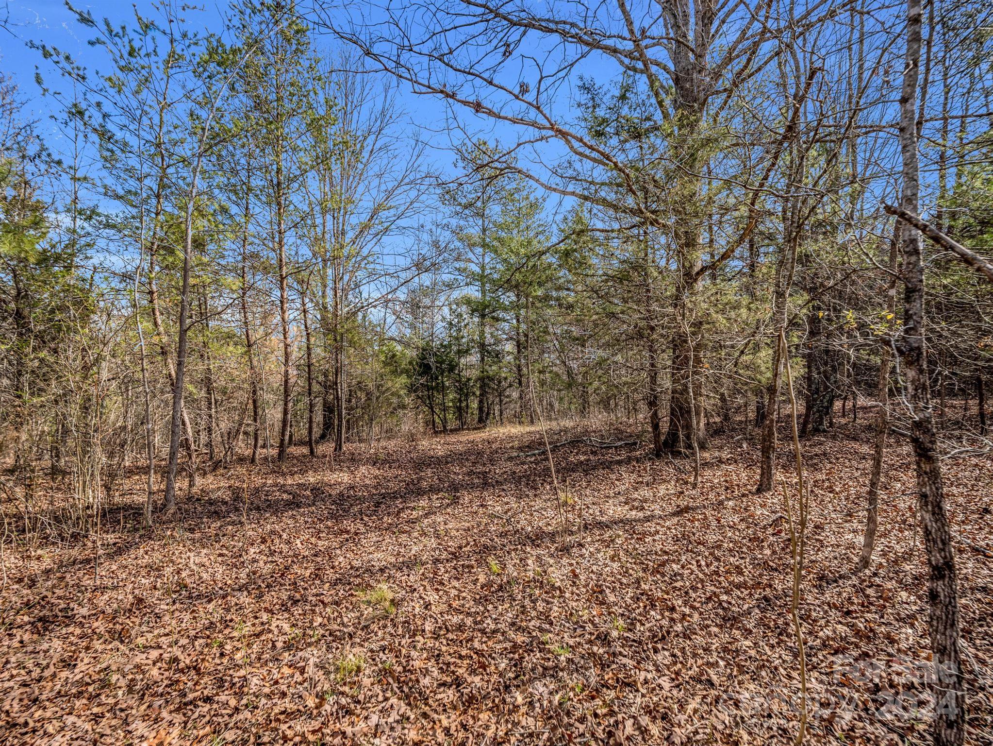 0 Jack McKinney Road Rutherfordton, NC 28139 - Photo 19 of 45 Gallery Image 19