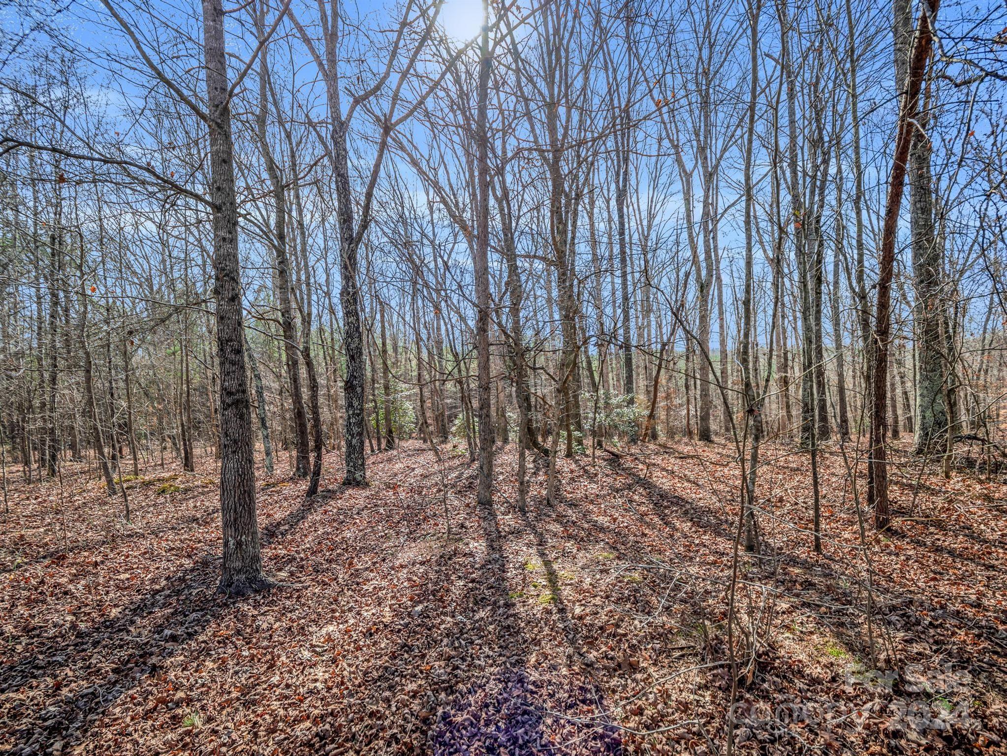 0 Jack McKinney Road Rutherfordton, NC 28139 - Photo 23 of 45 Gallery Image 23