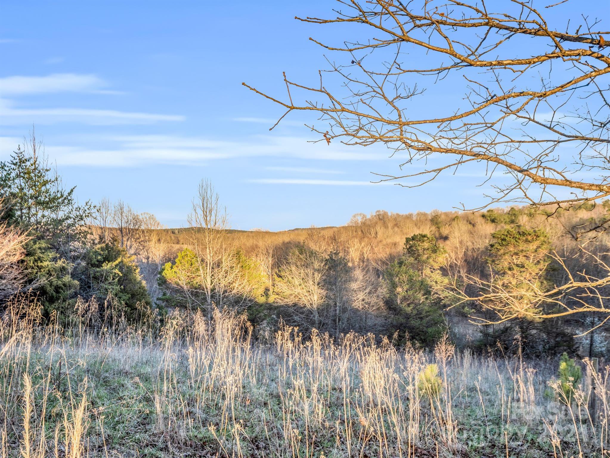 0 Jack McKinney Road Rutherfordton, NC 28139 - Photo 8 of 45 Gallery Image 8