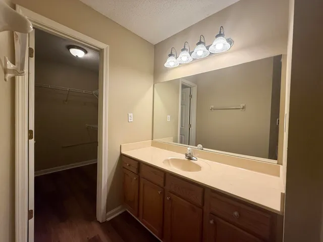 a bathroom with a sink vanity and a mirror