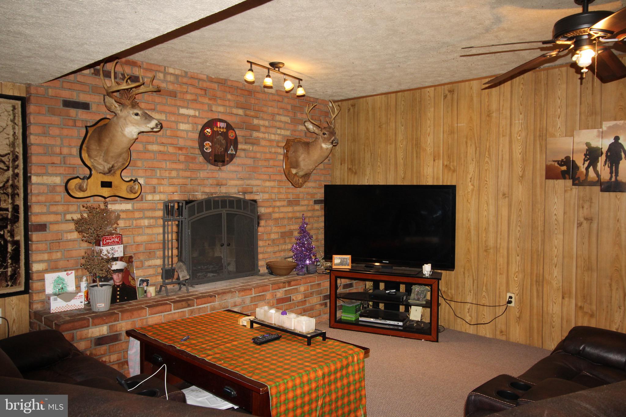 11679 Cemetery Road Bealeton, VA 22712 - Photo 12 of 26 Lower level Family room with fireplace and walkout