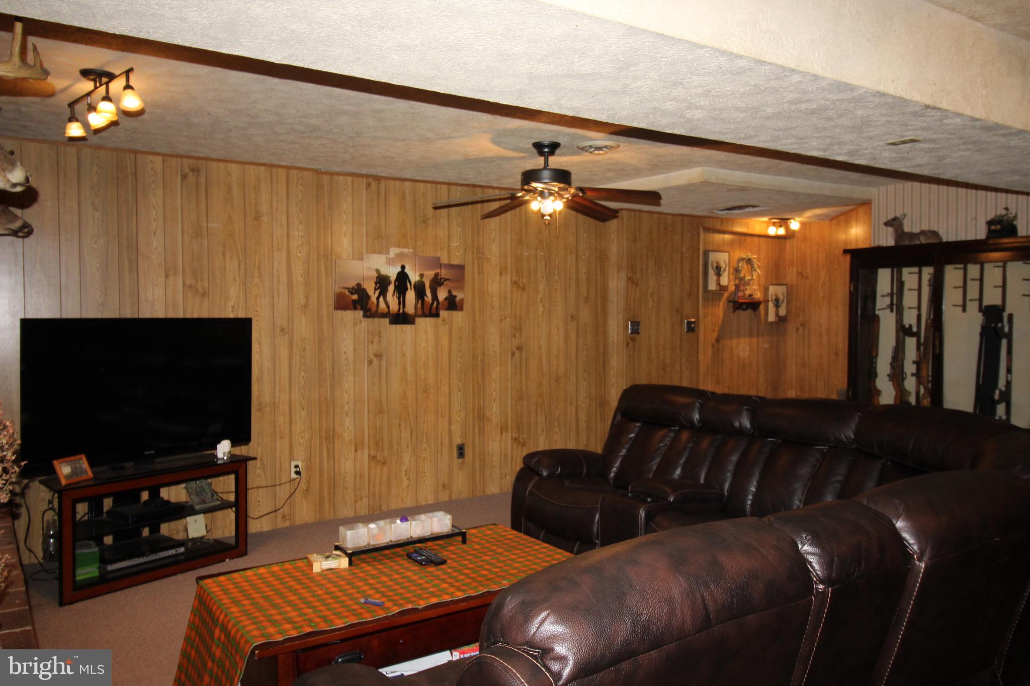 11679 Cemetery Road Bealeton, VA 22712 - Photo 13 of 26 Lower level Family room with fireplace & walkout