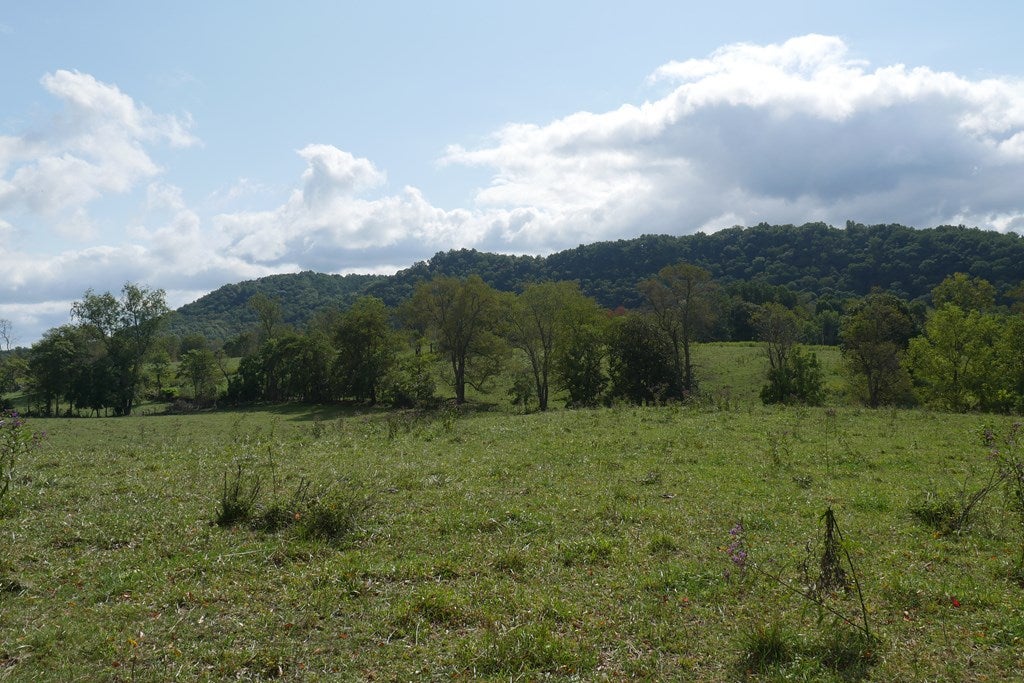 Tbd South Fork River Road Glade Spring, VA 24340 - Photo 2 of 25 Gallery Image 2