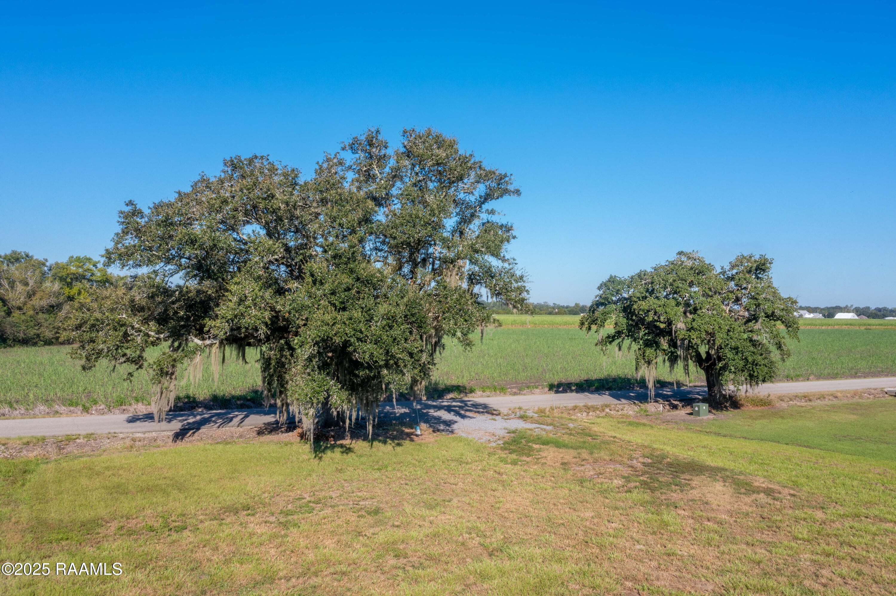 903 Crochet Road New Iberia, LA 70563 - Photo 11 of 12 903Crochet-9