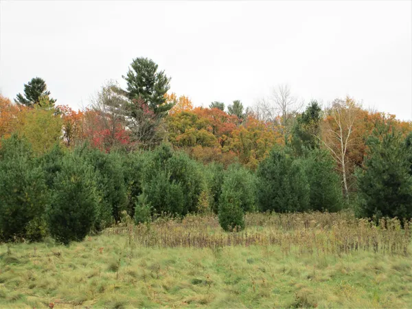 $100,000 | 2 90th Street, Frederic, WI 54837