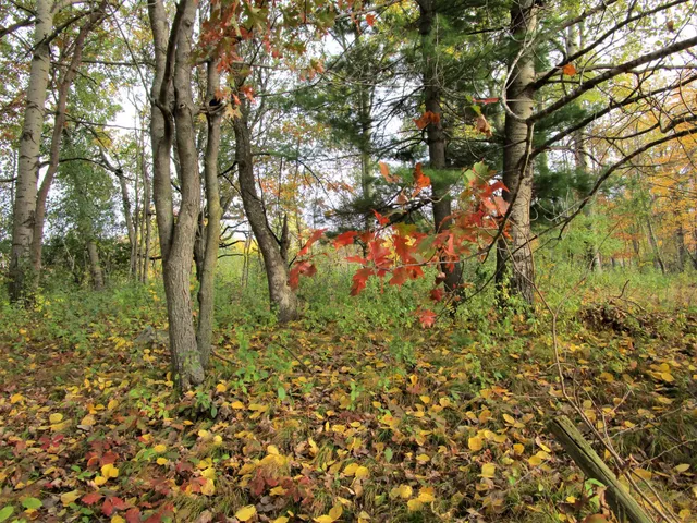 $129,000 | 2 90th Street, Frederic, WI 54837