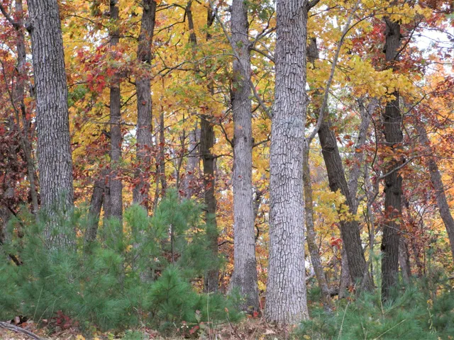 $129,000 | 2 90th Street, Frederic, WI 54837