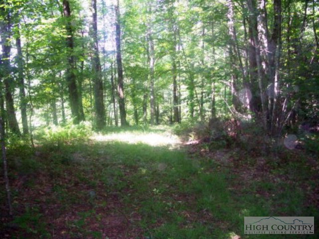 1131 Beaver Dam Road Vilas, NC 28692 - Photo 2 of 7 Gallery Image 2