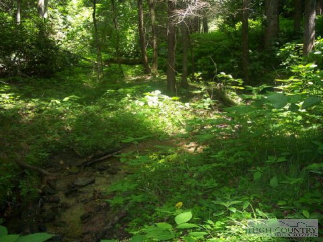 1131 Beaver Dam Road Vilas, NC 28692 - Photo 5 of 7 Gallery Image 5