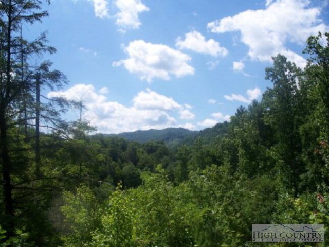 1131 Beaver Dam Road Vilas, NC 28692 - Photo 6 of 7 Gallery Image 6