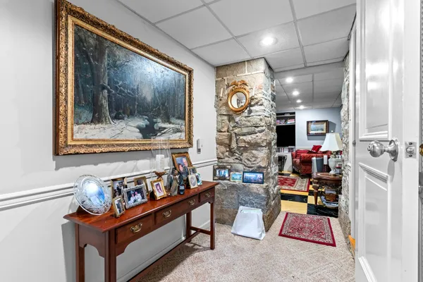 a view of a forest with lots of trees