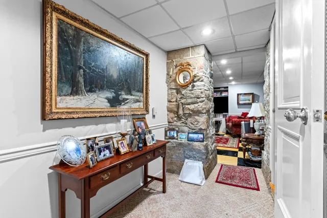 a view of a forest with lots of trees