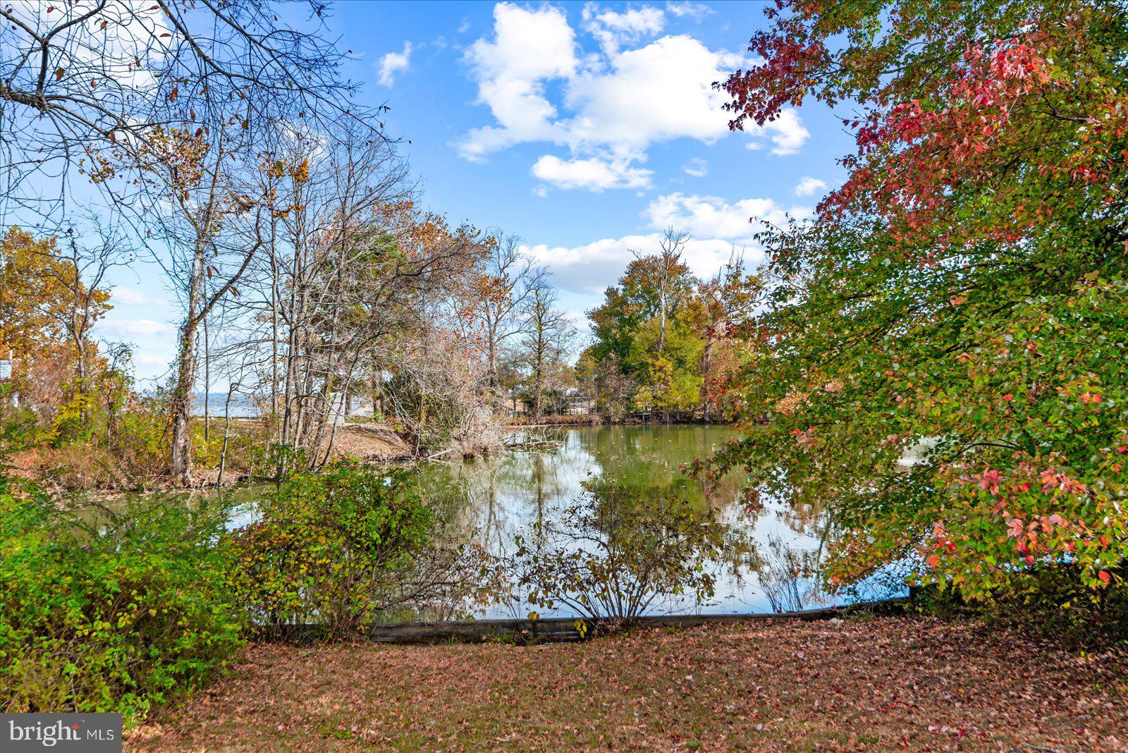 240 Wister Road Colonial Beach, VA 22443 - Photo 20 of 26 Gallery Image 20