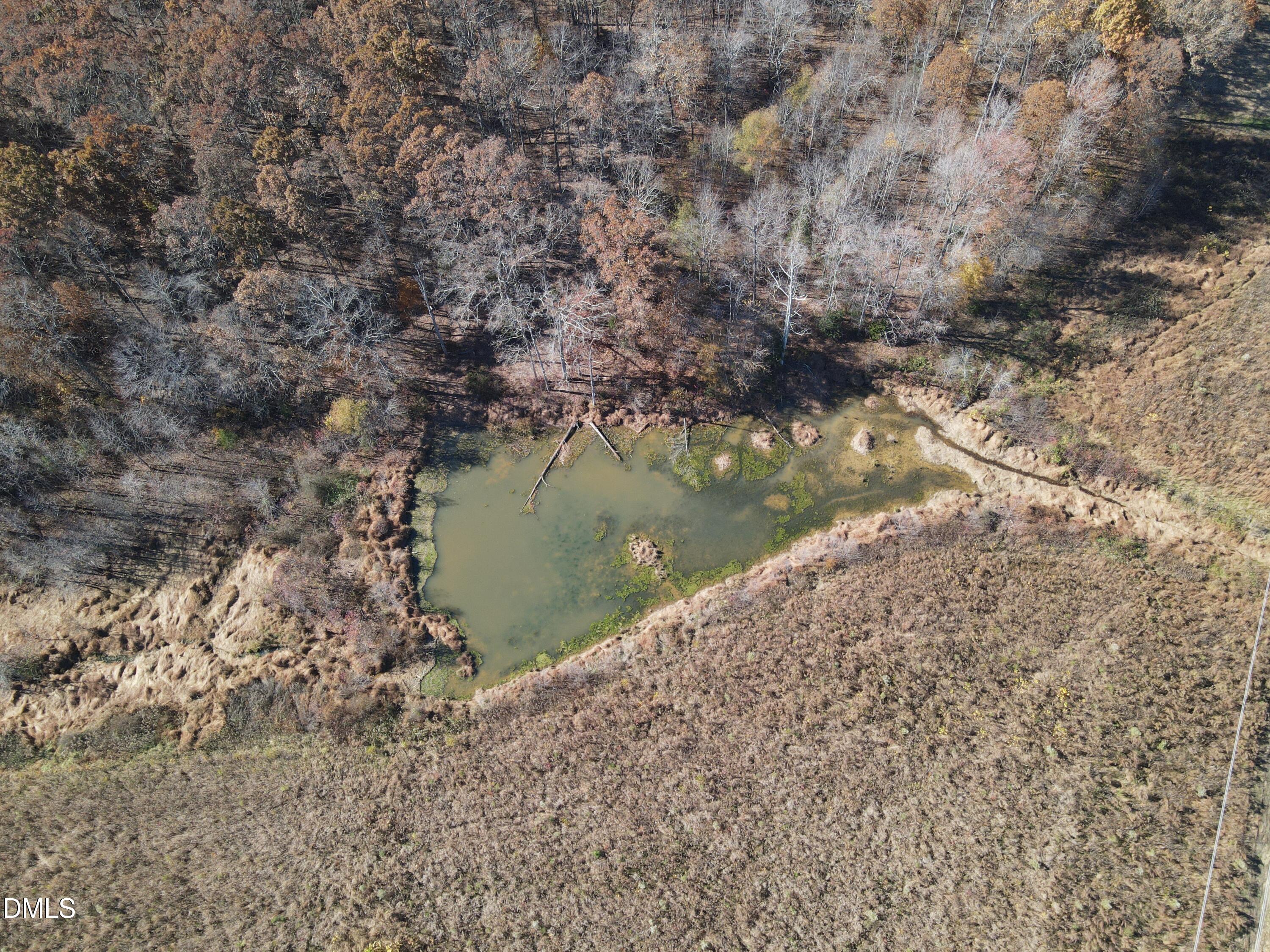 0 Antioch Church Road Roxboro, NC 27574 - Photo 11 of 61 a view of a lake from a yard