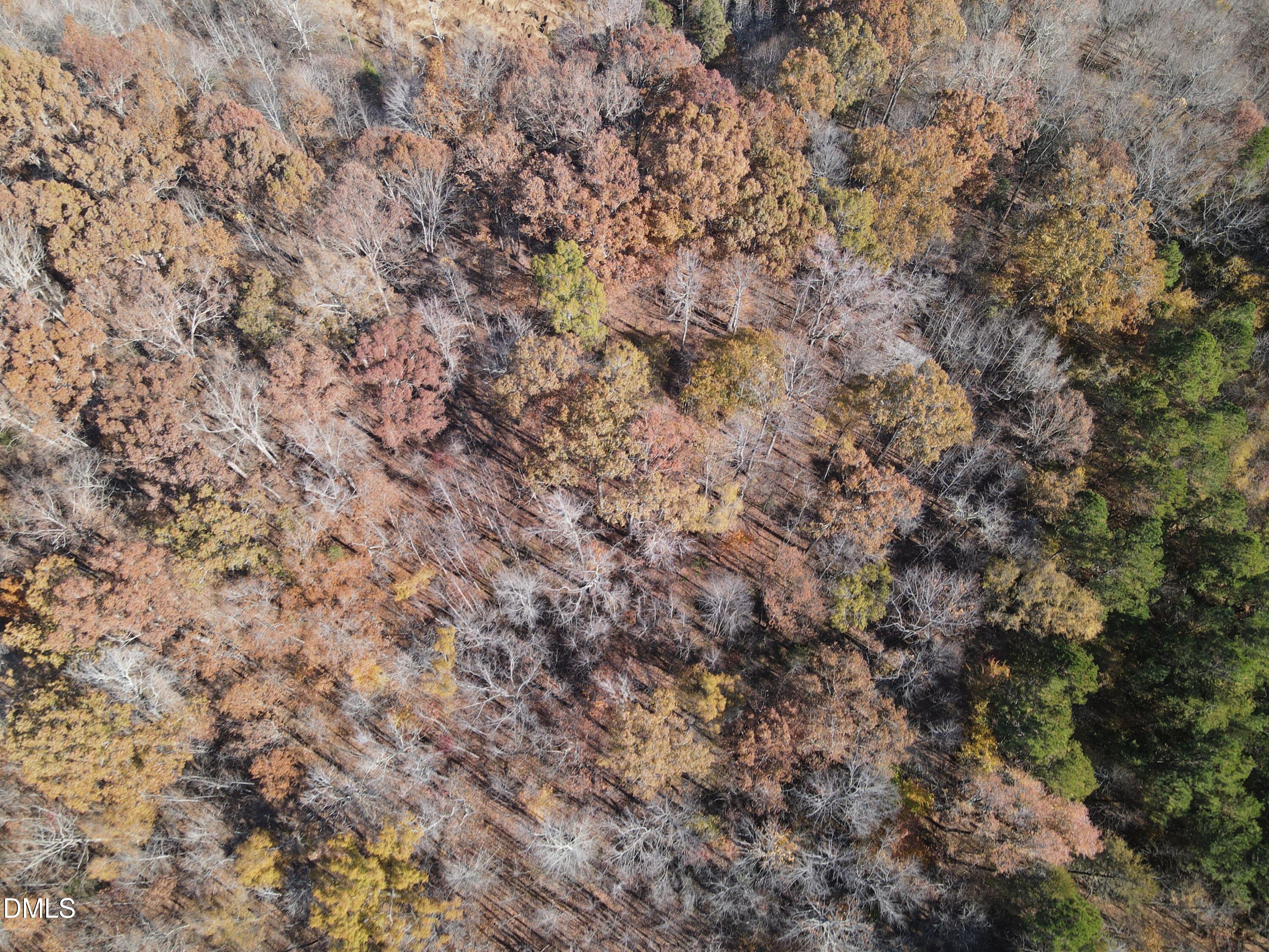 0 Antioch Church Road Roxboro, NC 27574 - Photo 15 of 61 DJI_0577