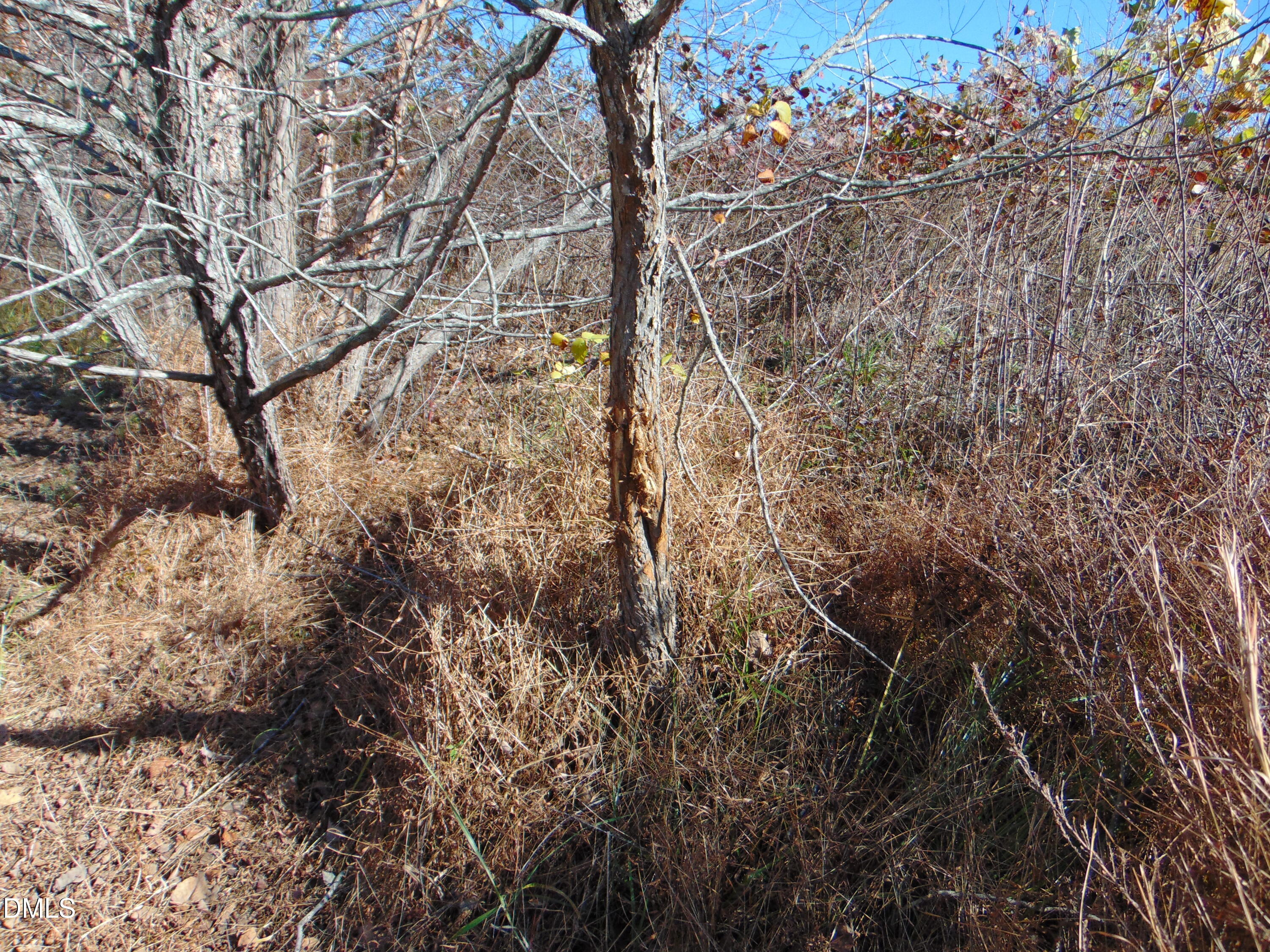 0 Antioch Church Road Roxboro, NC 27574 - Photo 26 of 61 a view of a yard