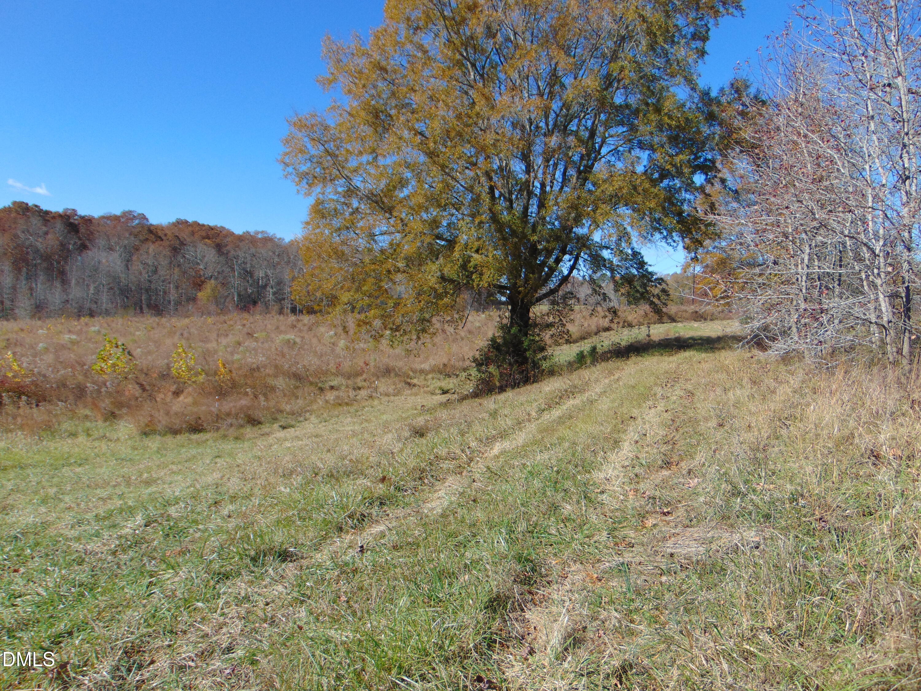 0 Antioch Church Road Roxboro, NC 27574 - Photo 27 of 61 a view of a yard with a tree