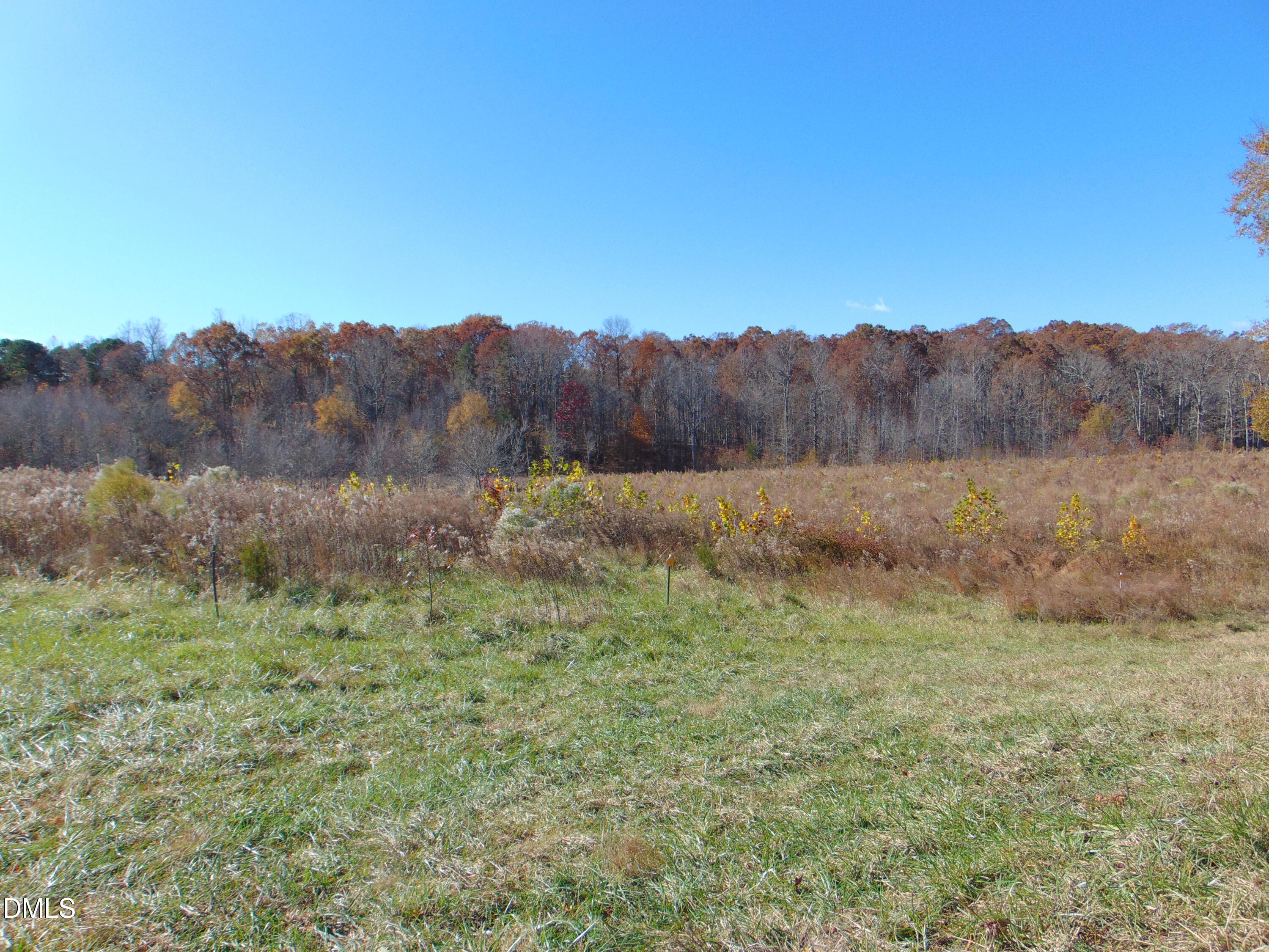 0 Antioch Church Road Roxboro, NC 27574 - Photo 28 of 61 a view of a backyard with green space