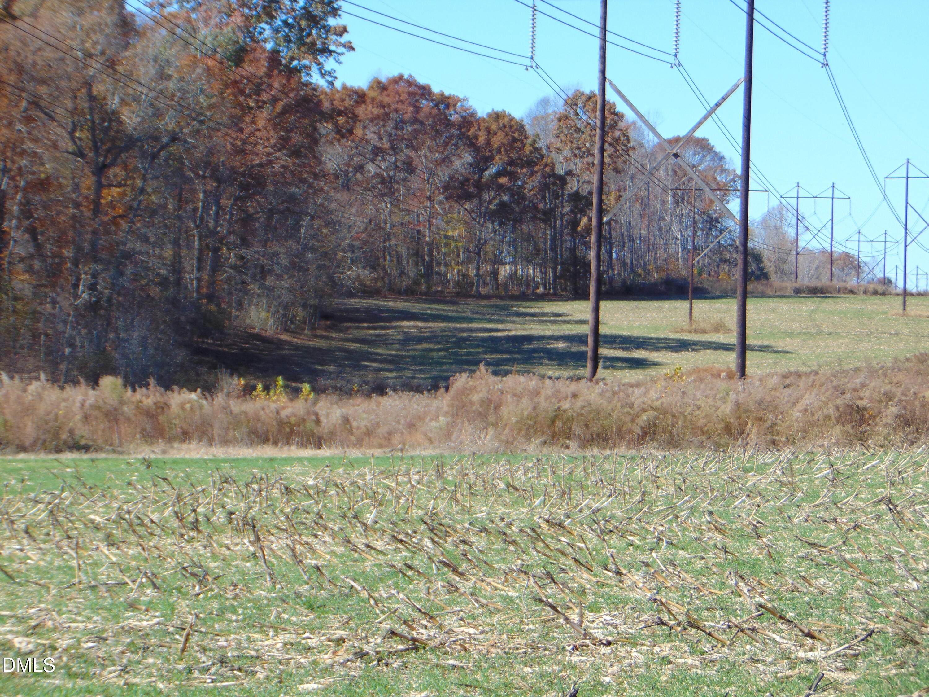 0 Antioch Church Road Roxboro, NC 27574 - Photo 30 of 61 a view of a backyard