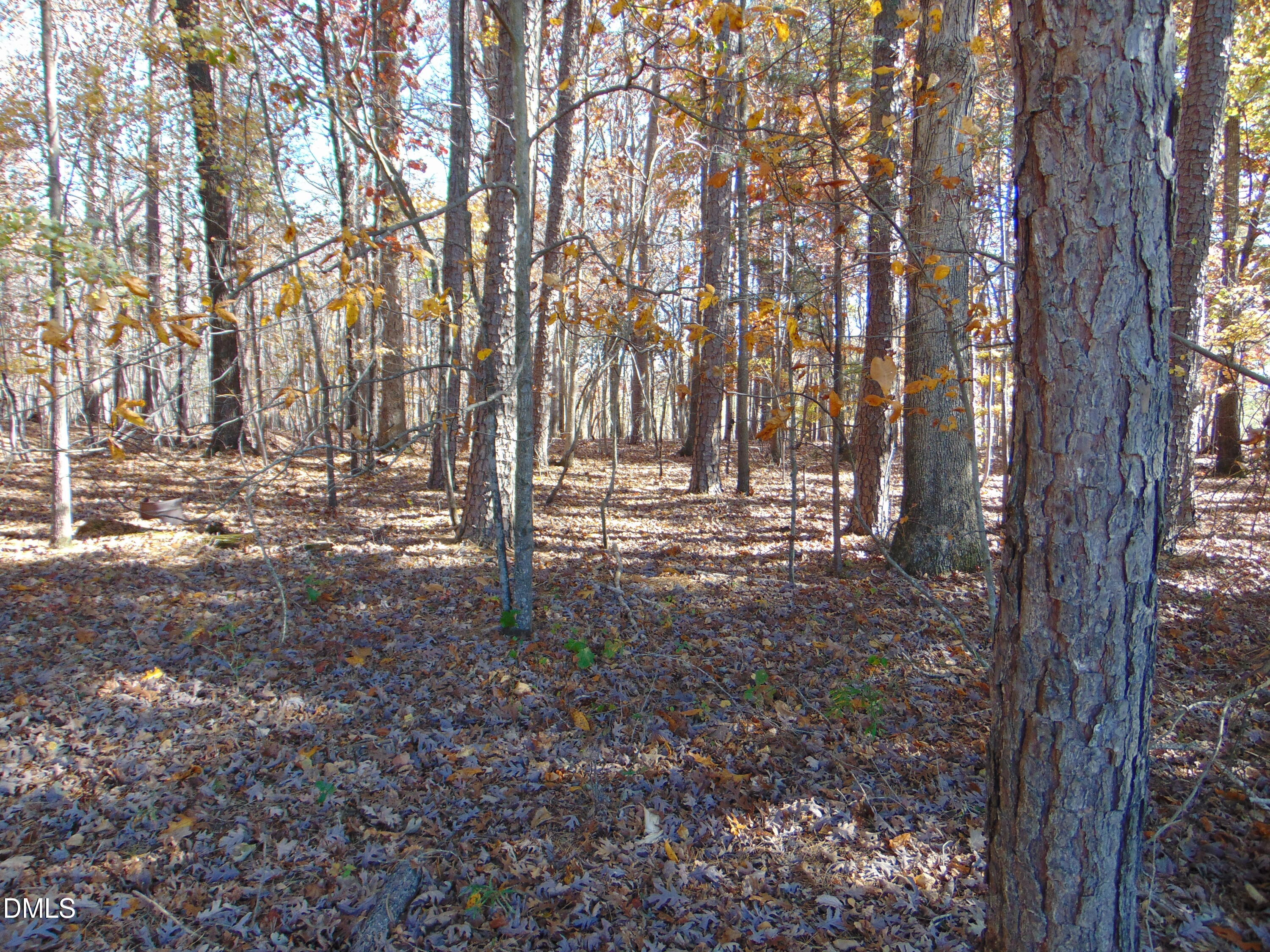 0 Antioch Church Road Roxboro, NC 27574 - Photo 31 of 61 a view of house with trees