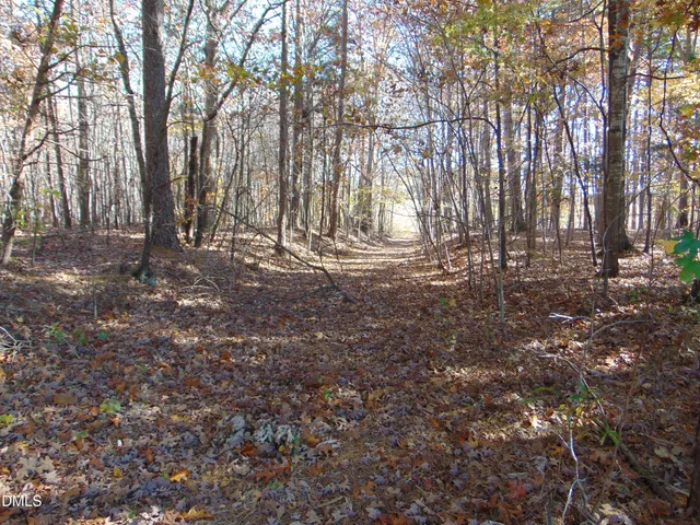 a view of a field with a tree in the background