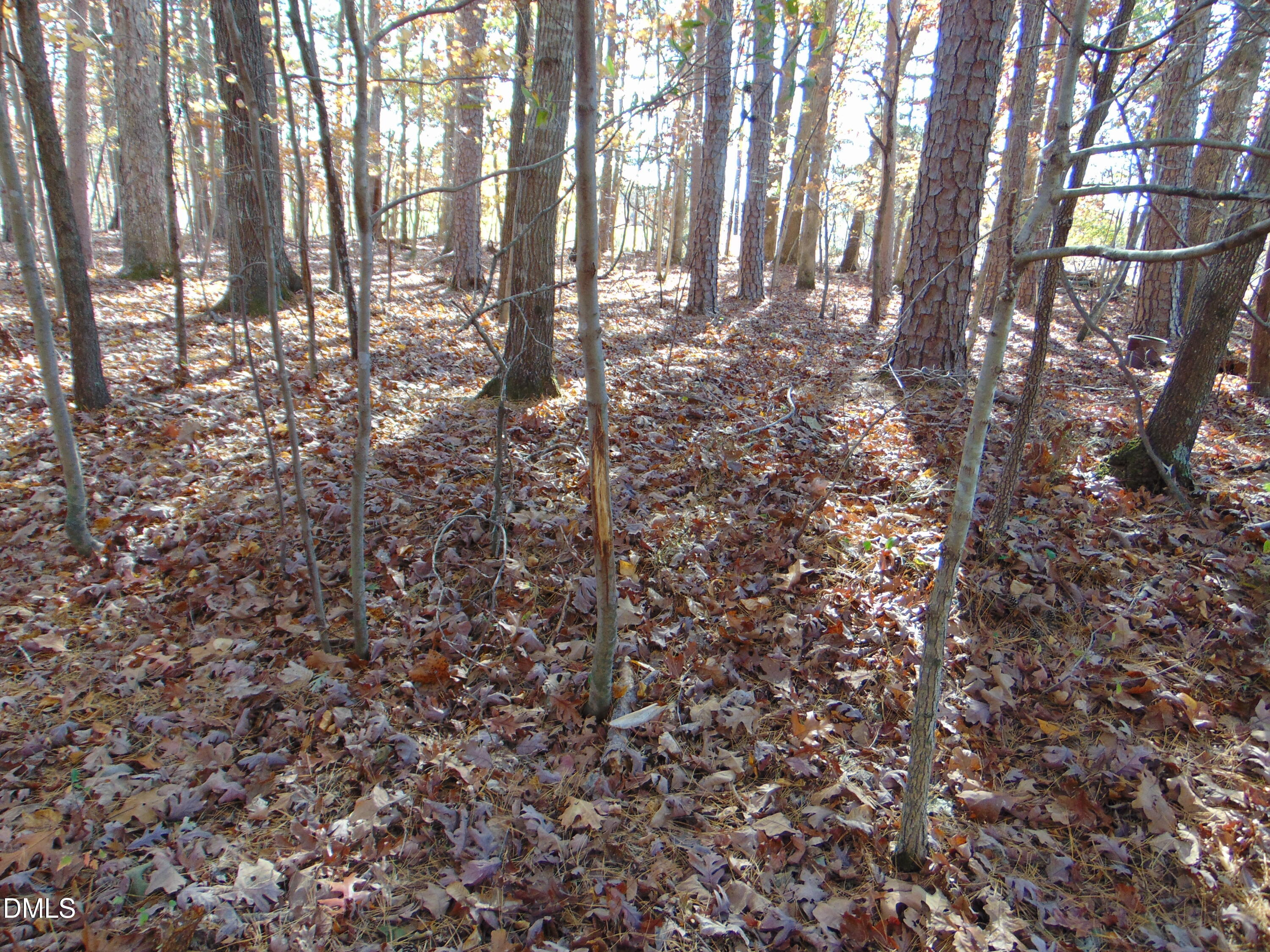 0 Antioch Church Road Roxboro, NC 27574 - Photo 33 of 61 DSC01275