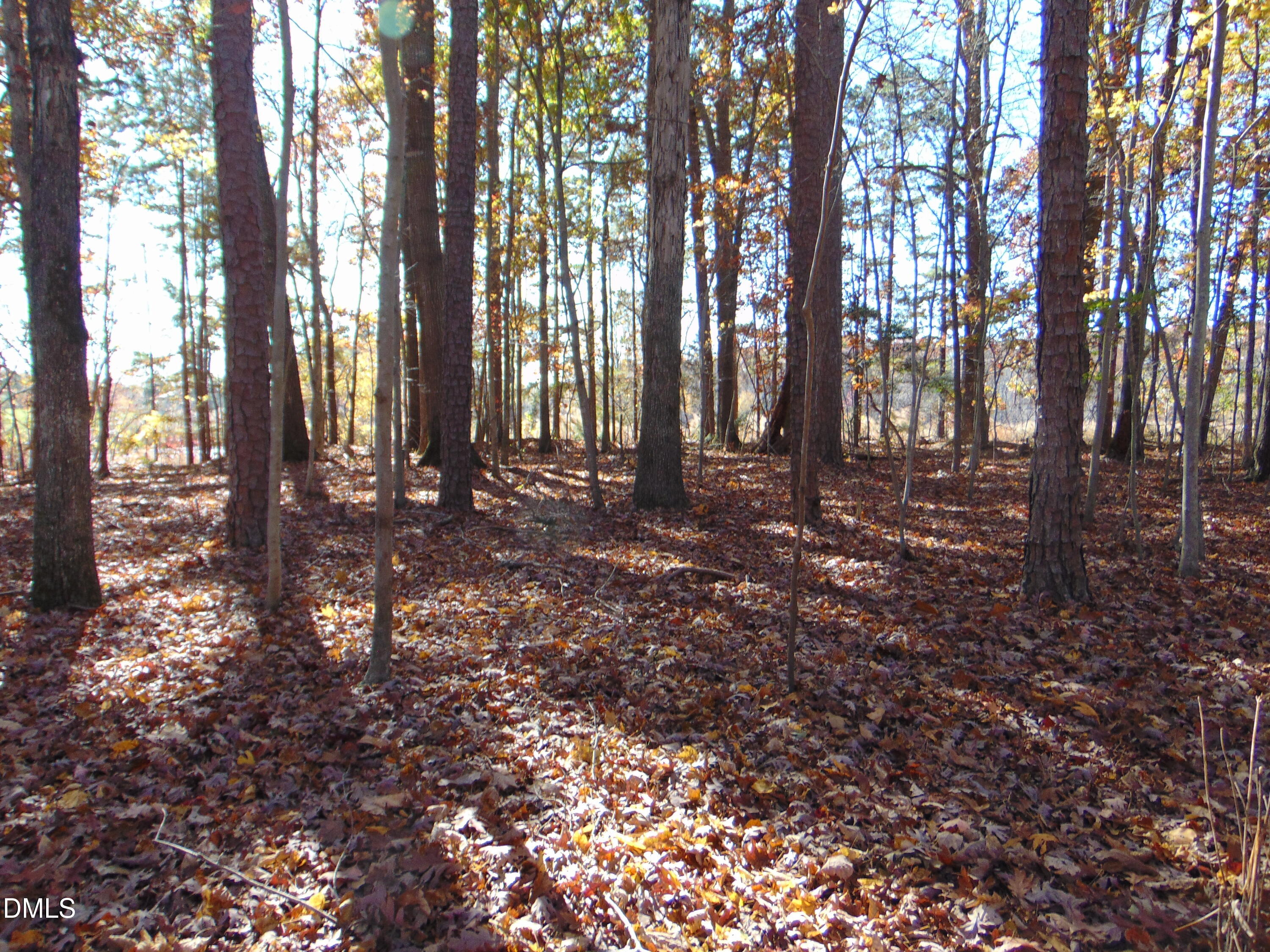 0 Antioch Church Road Roxboro, NC 27574 - Photo 35 of 61 a view of outdoor space with lots of green trees