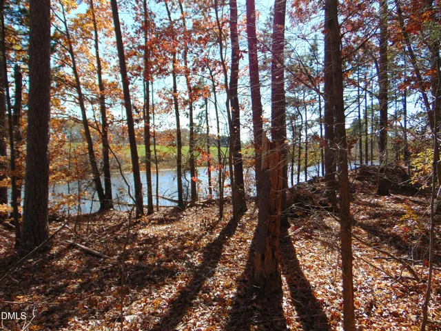 a view of a dry yard with trees