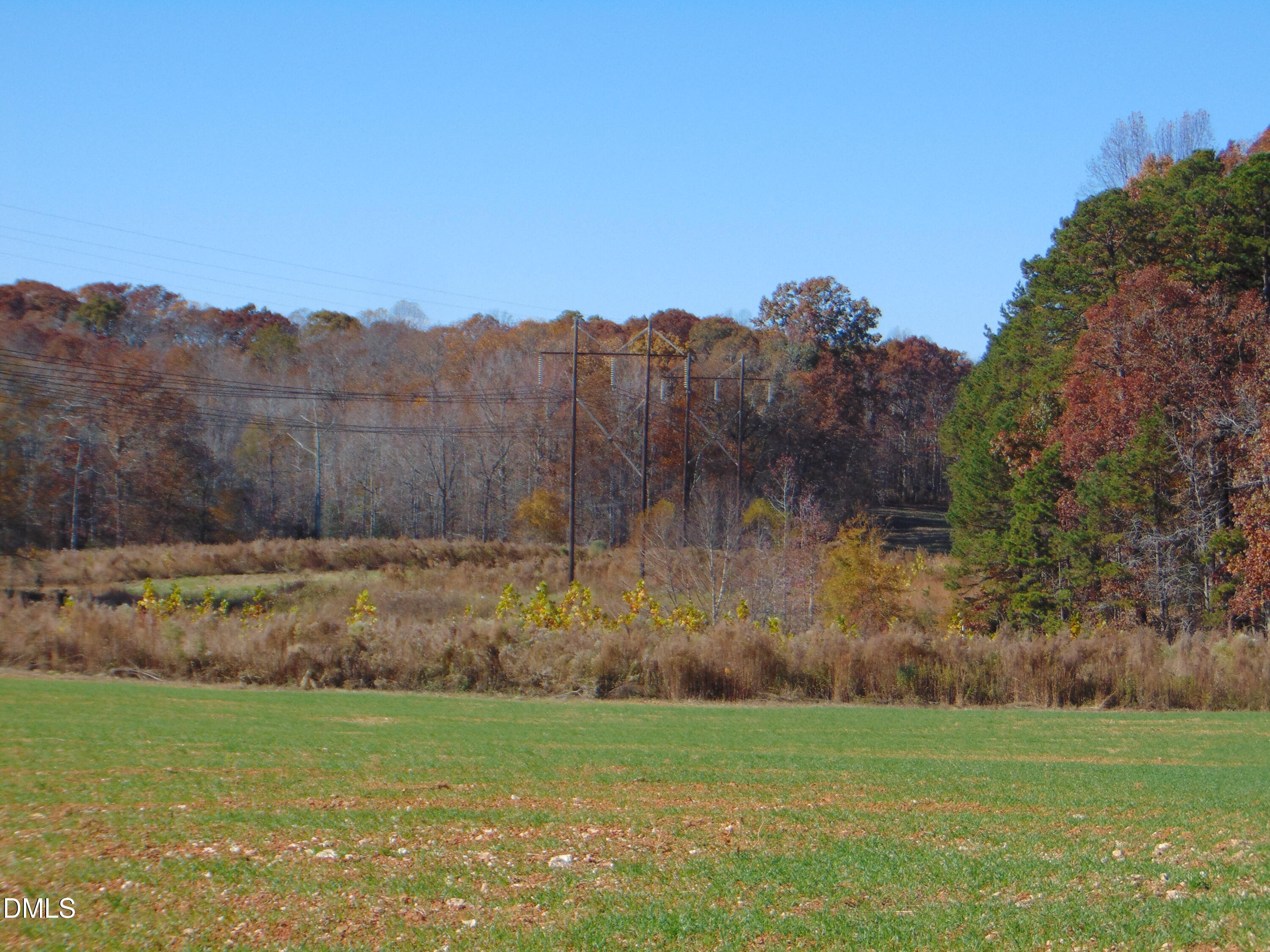 0 Antioch Church Road Roxboro, NC 27574 - Photo 39 of 61 a view of a field with a tree in the background
