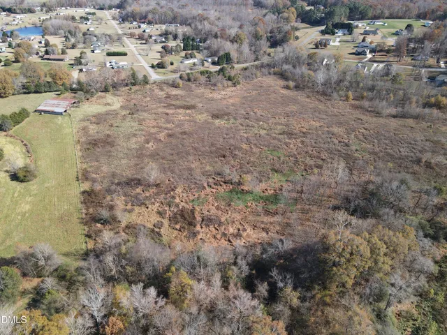 a view of a forest with a tree