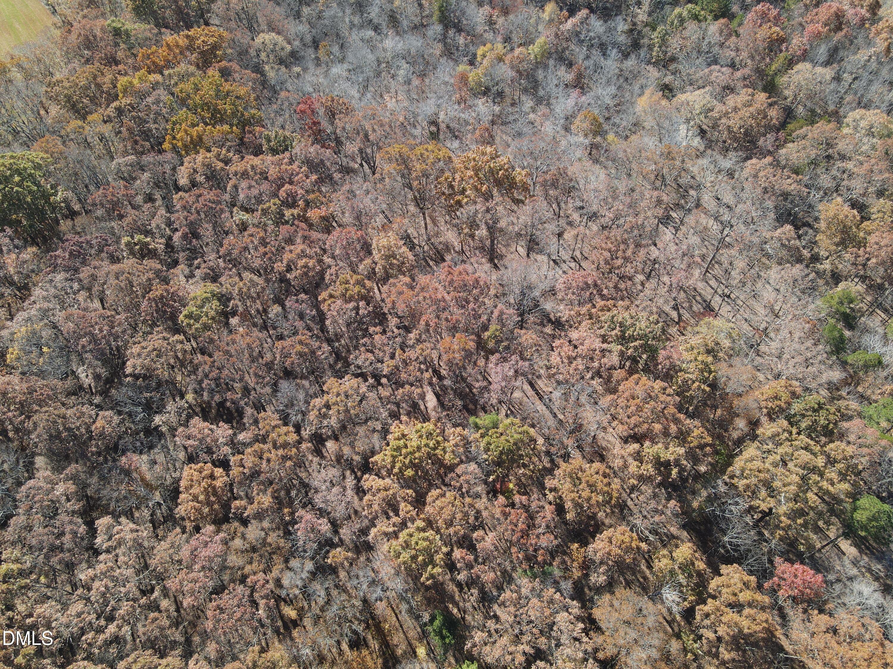 0 Antioch Church Road Roxboro, NC 27574 - Photo 5 of 61 a view of a dry yard