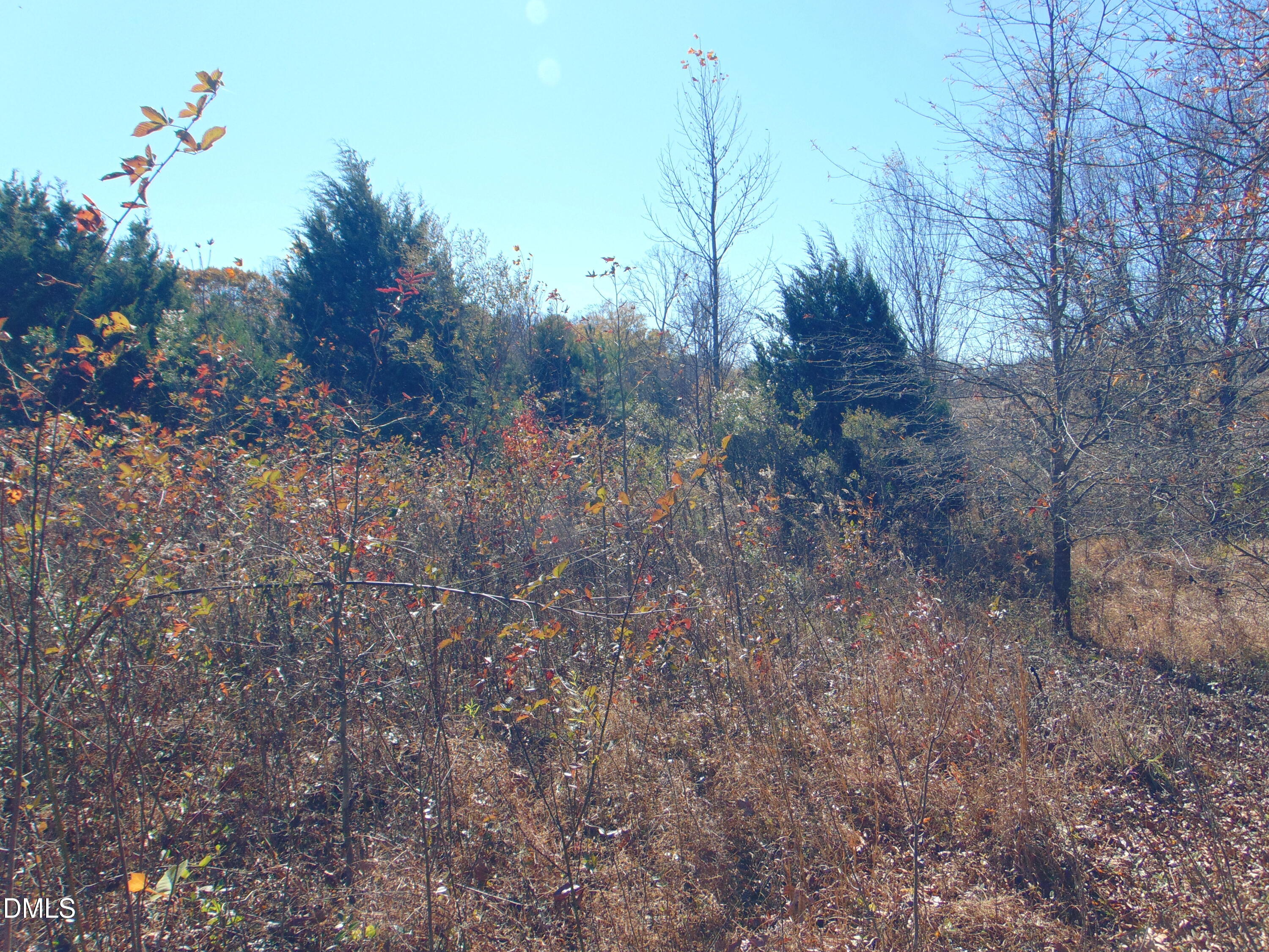 0 Antioch Church Road Roxboro, NC 27574 - Photo 53 of 61 a view of a dry yard with lots of green space