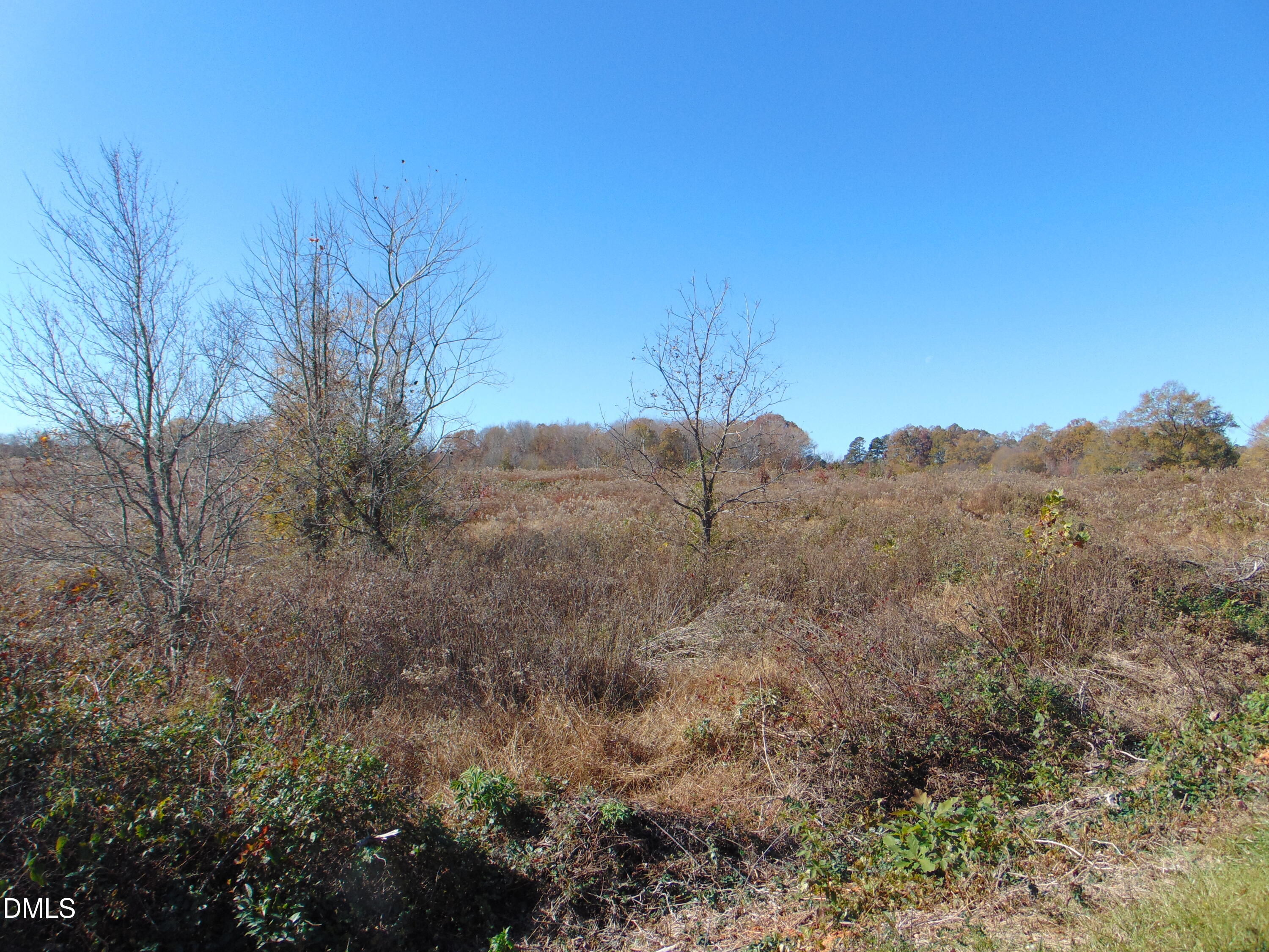 0 Antioch Church Road Roxboro, NC 27574 - Photo 55 of 61 a view of a dry yard with trees