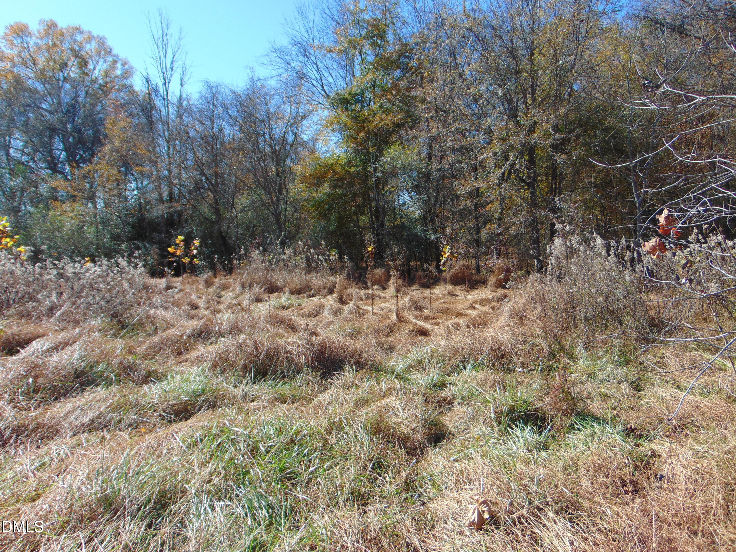 0 Antioch Church Road Roxboro, NC 27574 - Photo 58 of 61 a view of a dry yard