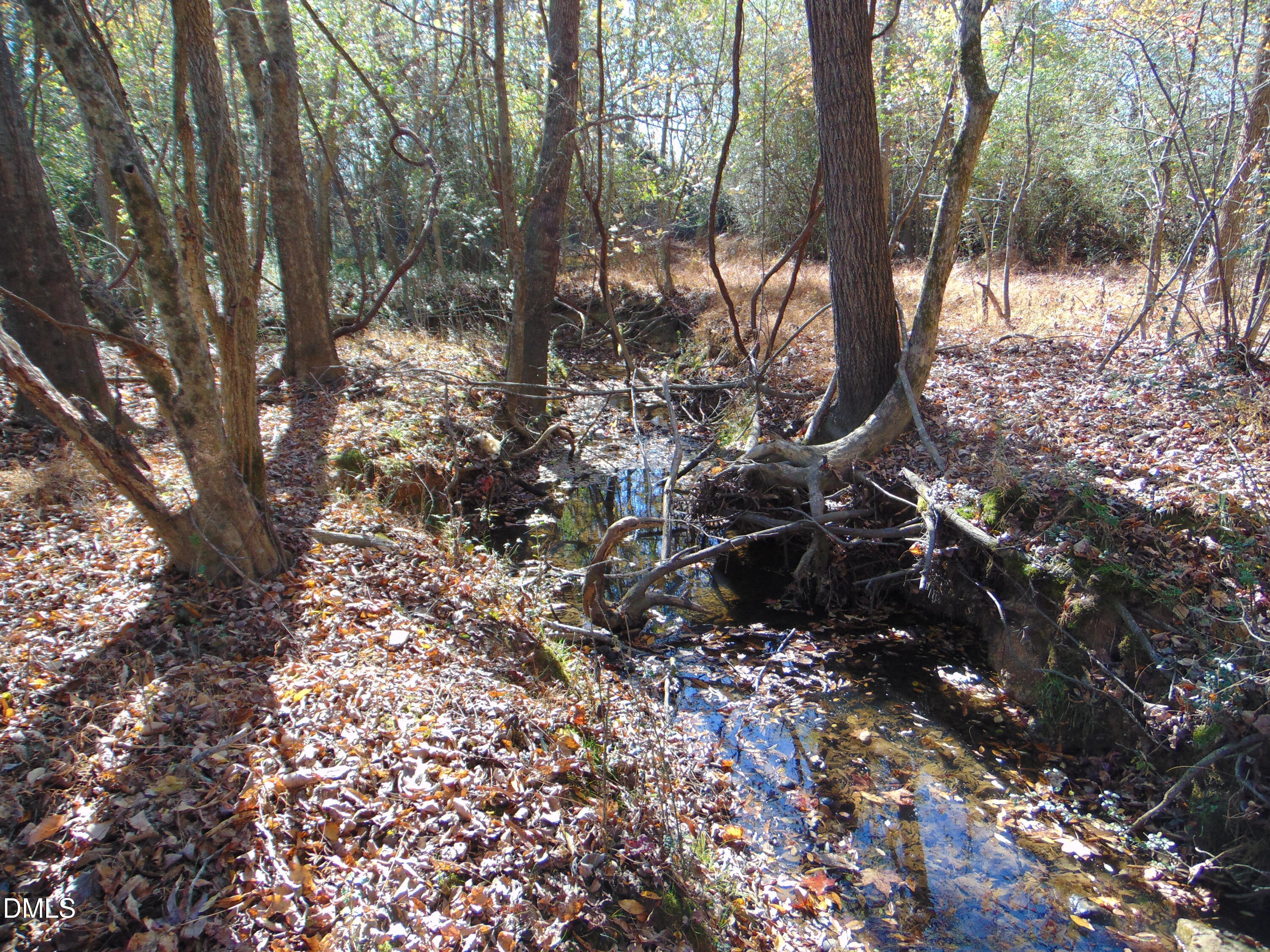 0 Antioch Church Road Roxboro, NC 27574 - Photo 59 of 61 a view of a forest filled with trees
